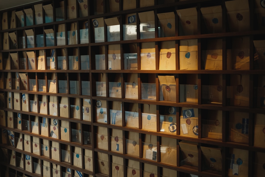 Photo organization and storage